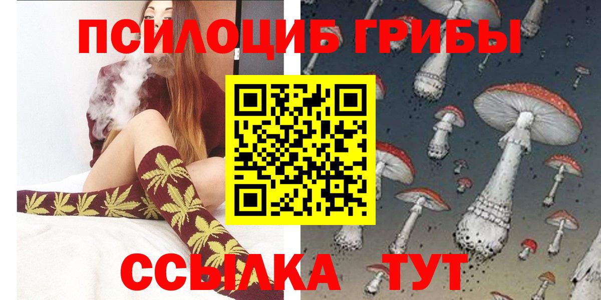 Ипатово  Псилоцибиновые грибы Psilocybine cubensis  Вход с VPN 